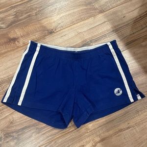 AERIE blue athletic shorts